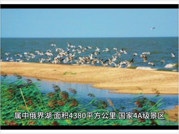 走近兴凯湖：鱼跃鸟飞，烟波浩淼！