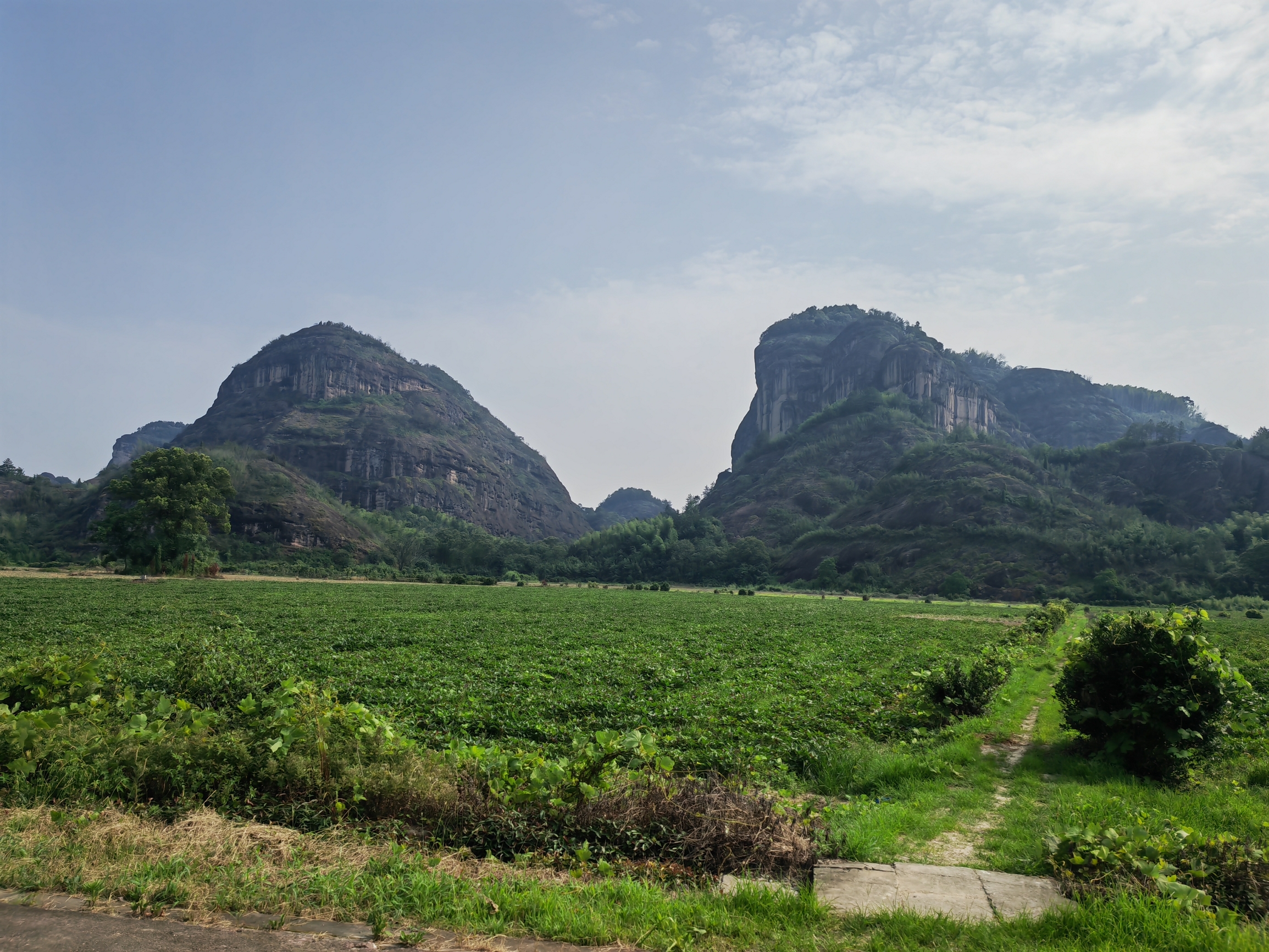 龙虎山，你是因为《一人之下》来的吗