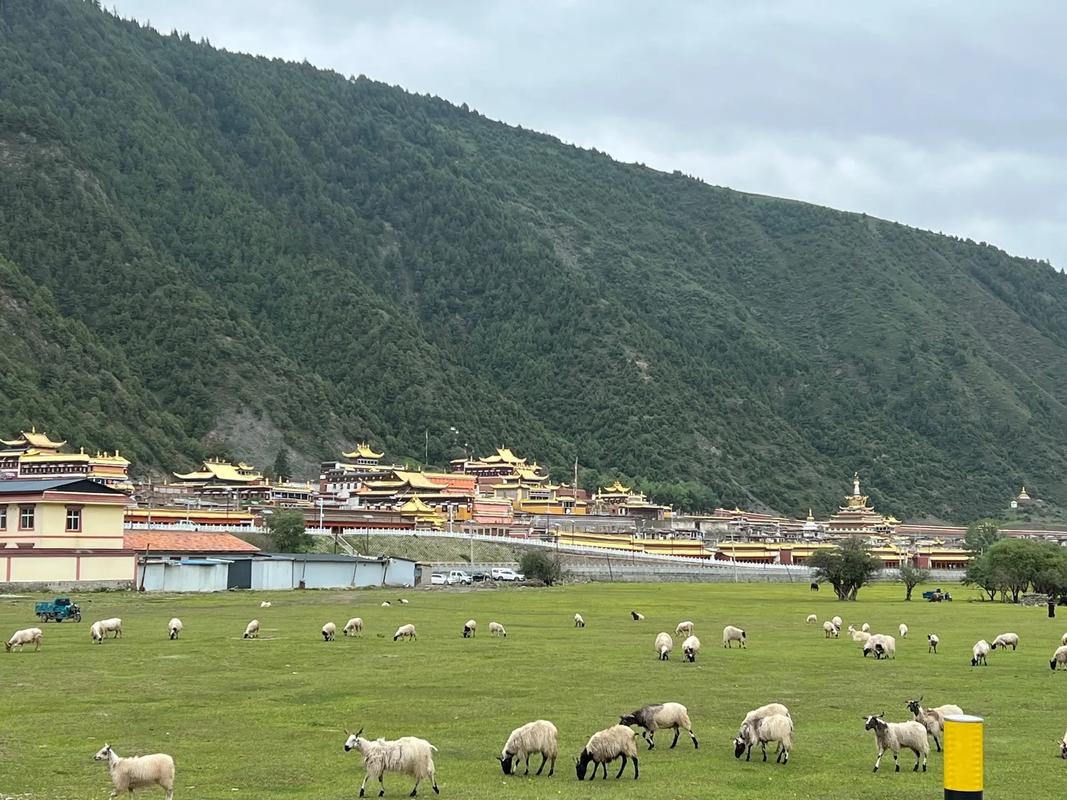 藏寨秘境，天然石城——扎尕那