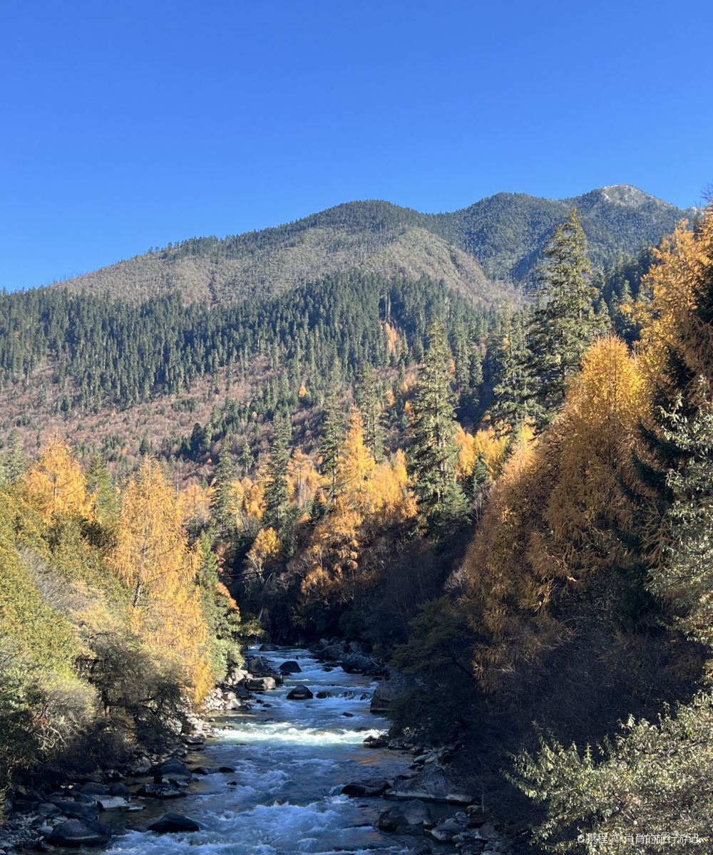 山泽居度假酒店(林芝机场店)图片