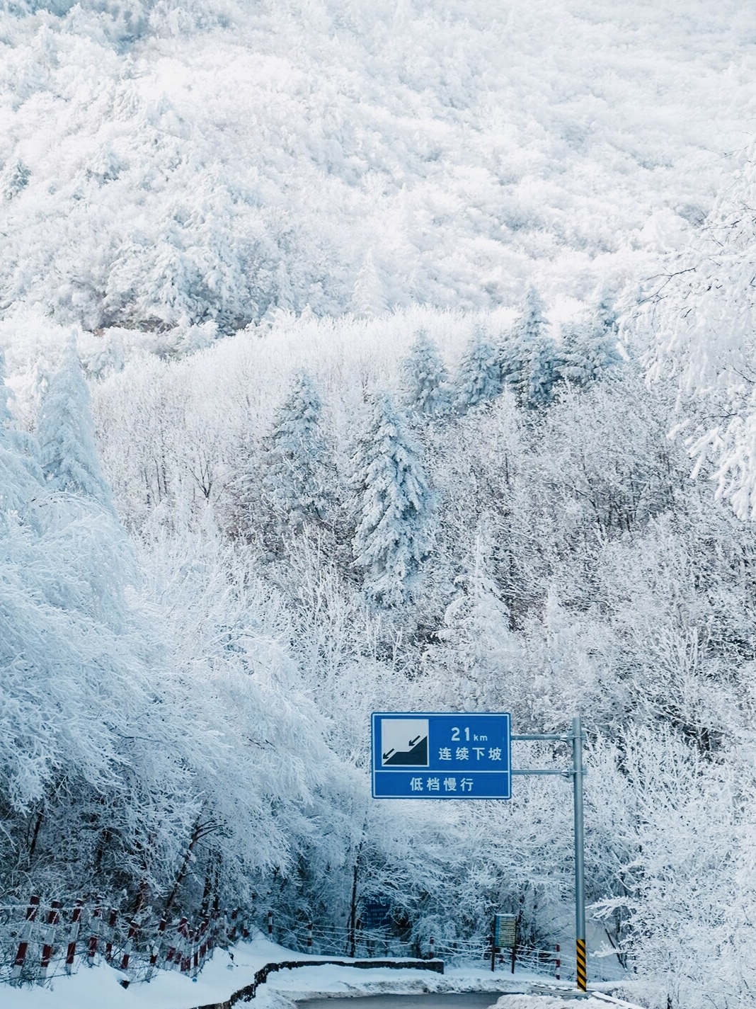 西安的冬天:一条通往童话世界的路