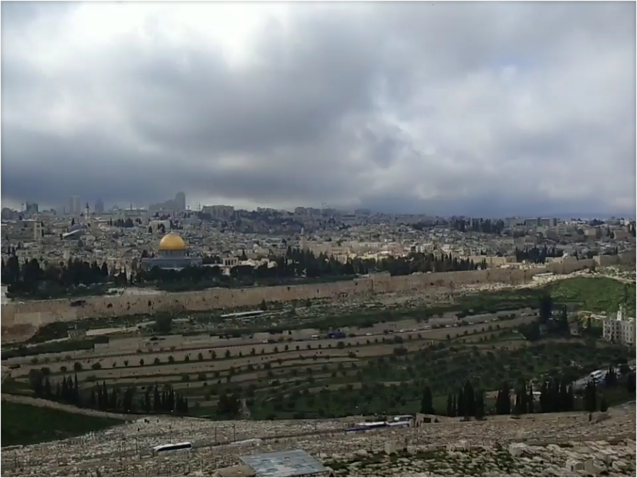 在橄榄山上，看耶路撒冷全城