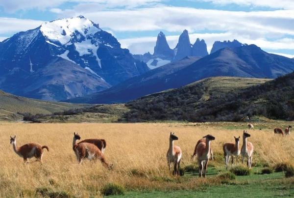 百内国家公园 位于安第斯山脉南端，在巴塔哥尼亚中部。其美丽的湖泊，众多的冰川和直耸云霄的花岗岩山峰闻