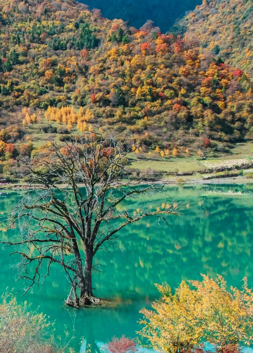 青山清水啊😍