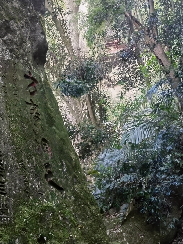 方广岩是难得的古寺，千级石阶很多带着莲花，知道的甚少