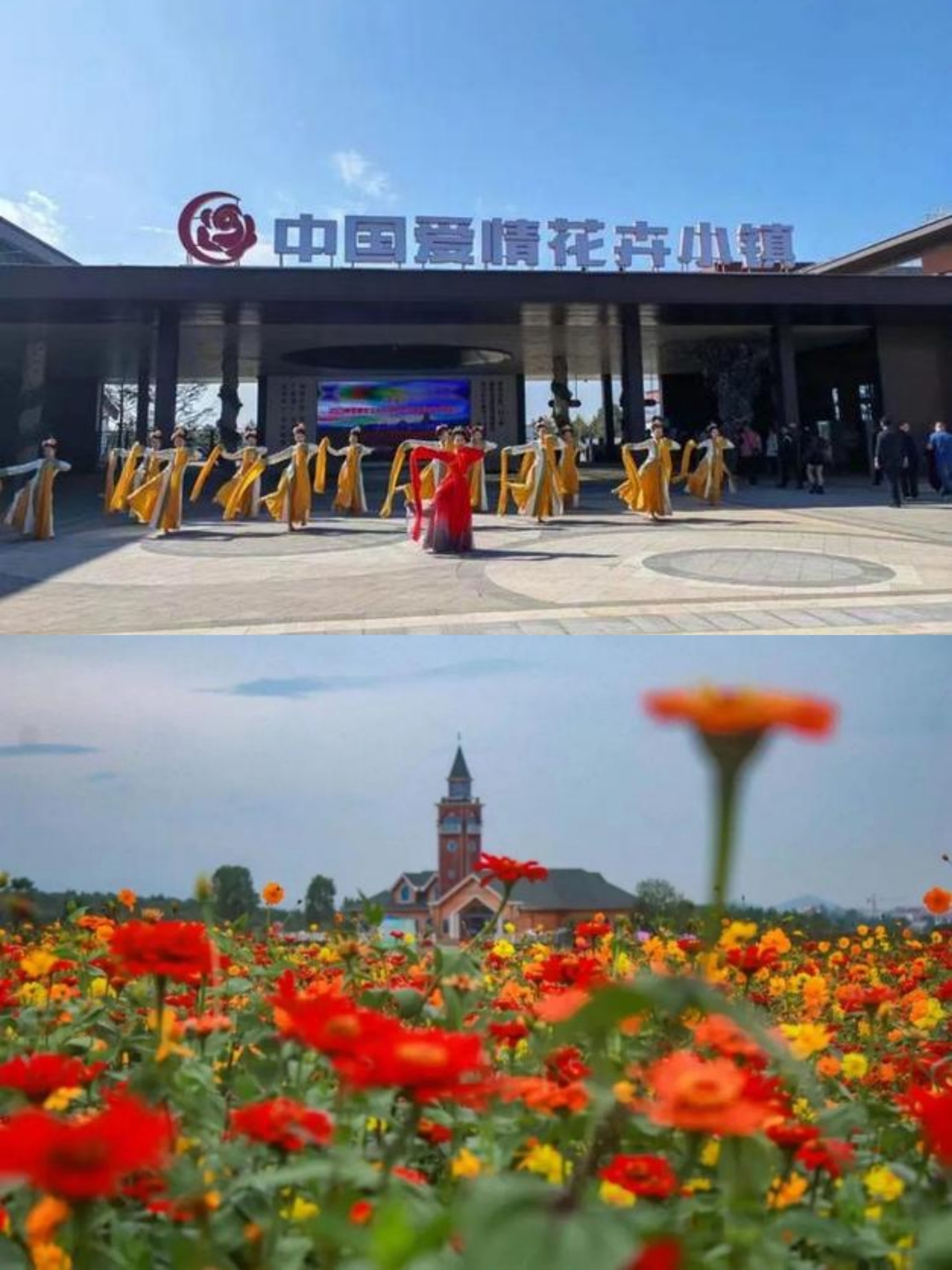 中国爱情花卉小镇
