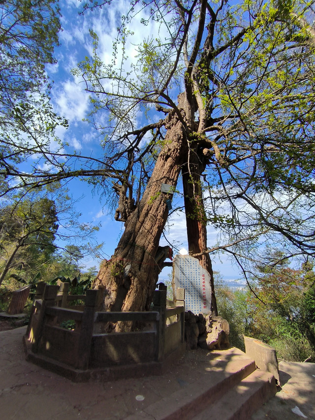 不一样的华亭寺|打卡昆明西山风景名胜区