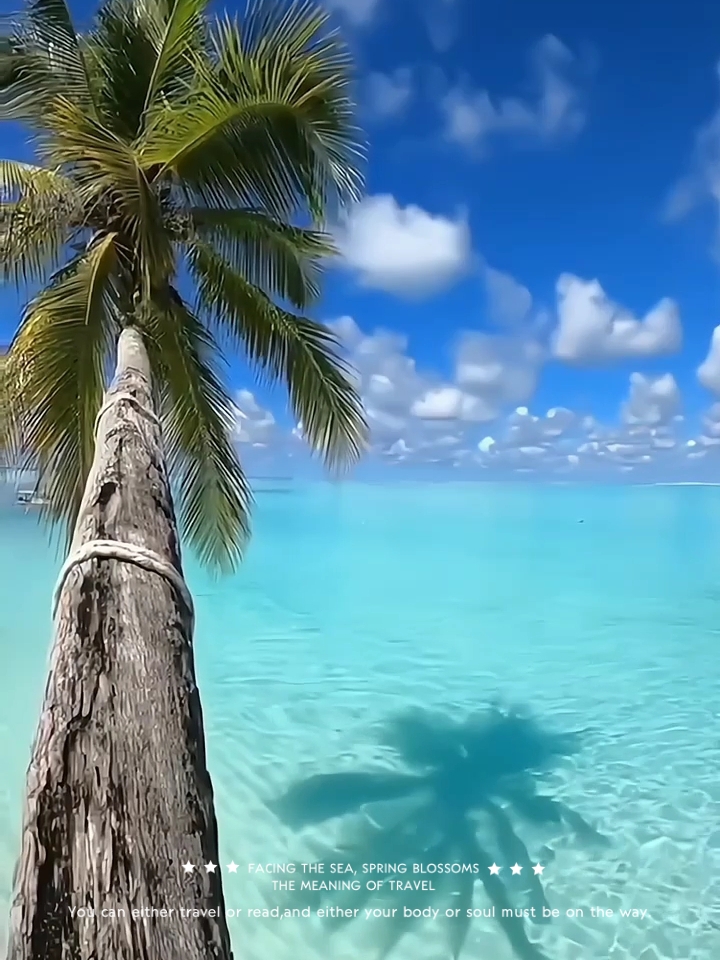 如果你喜欢海，一定要去马尔代夫💕