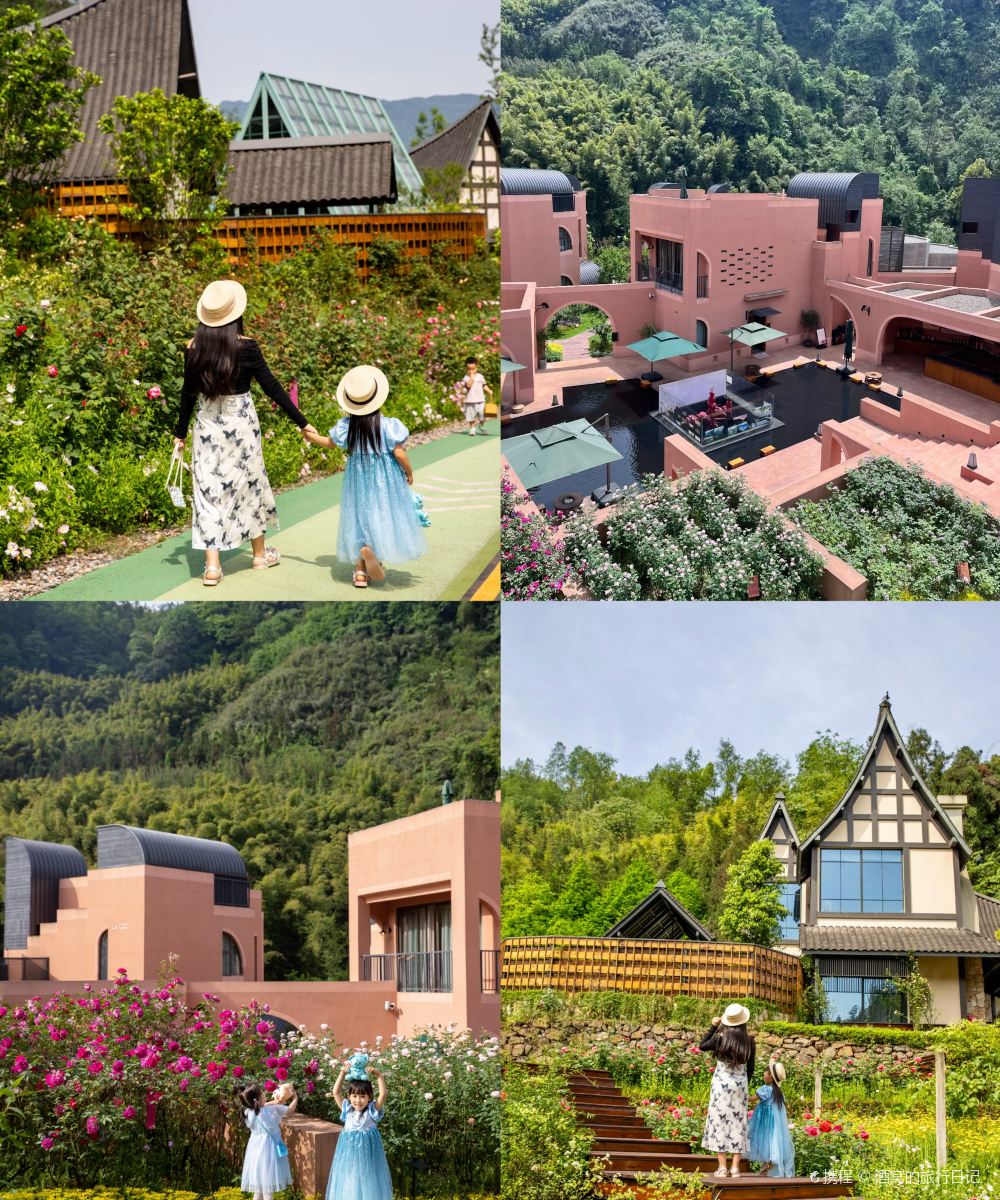 雅安十里芳菲·野玫瑰温泉村落图片