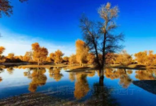 库车饭店美食图片