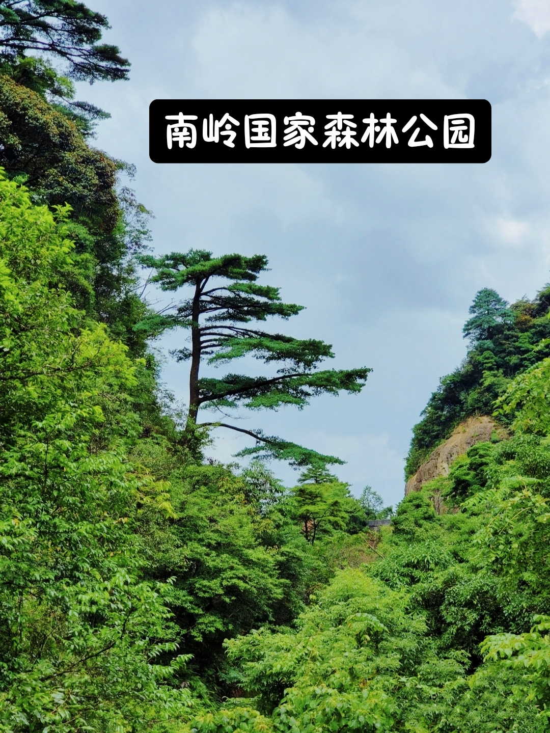 广东第一峰---南岭国家森林公园