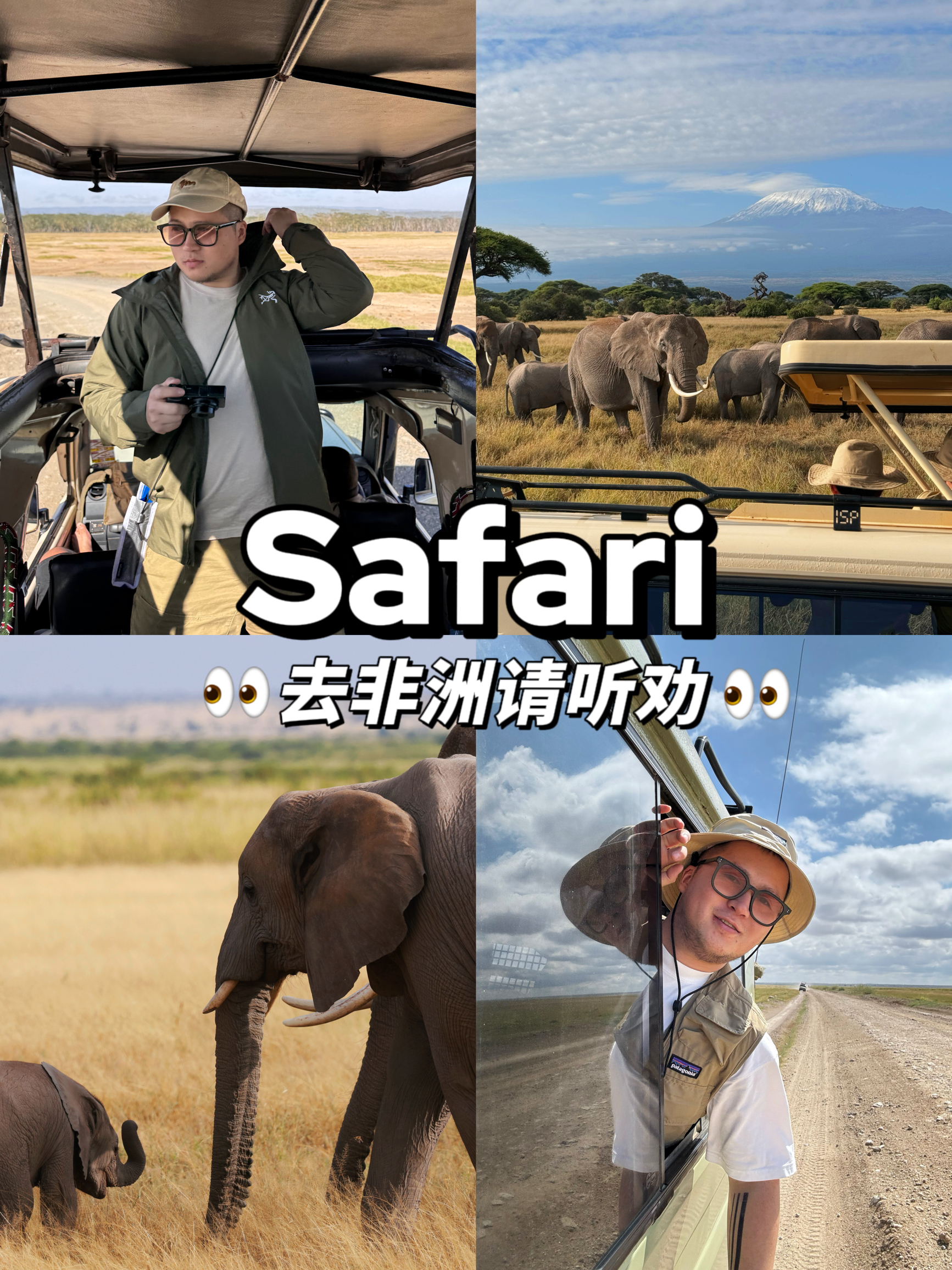 在非洲 Safari 去掉滤镜，我后悔了‼️