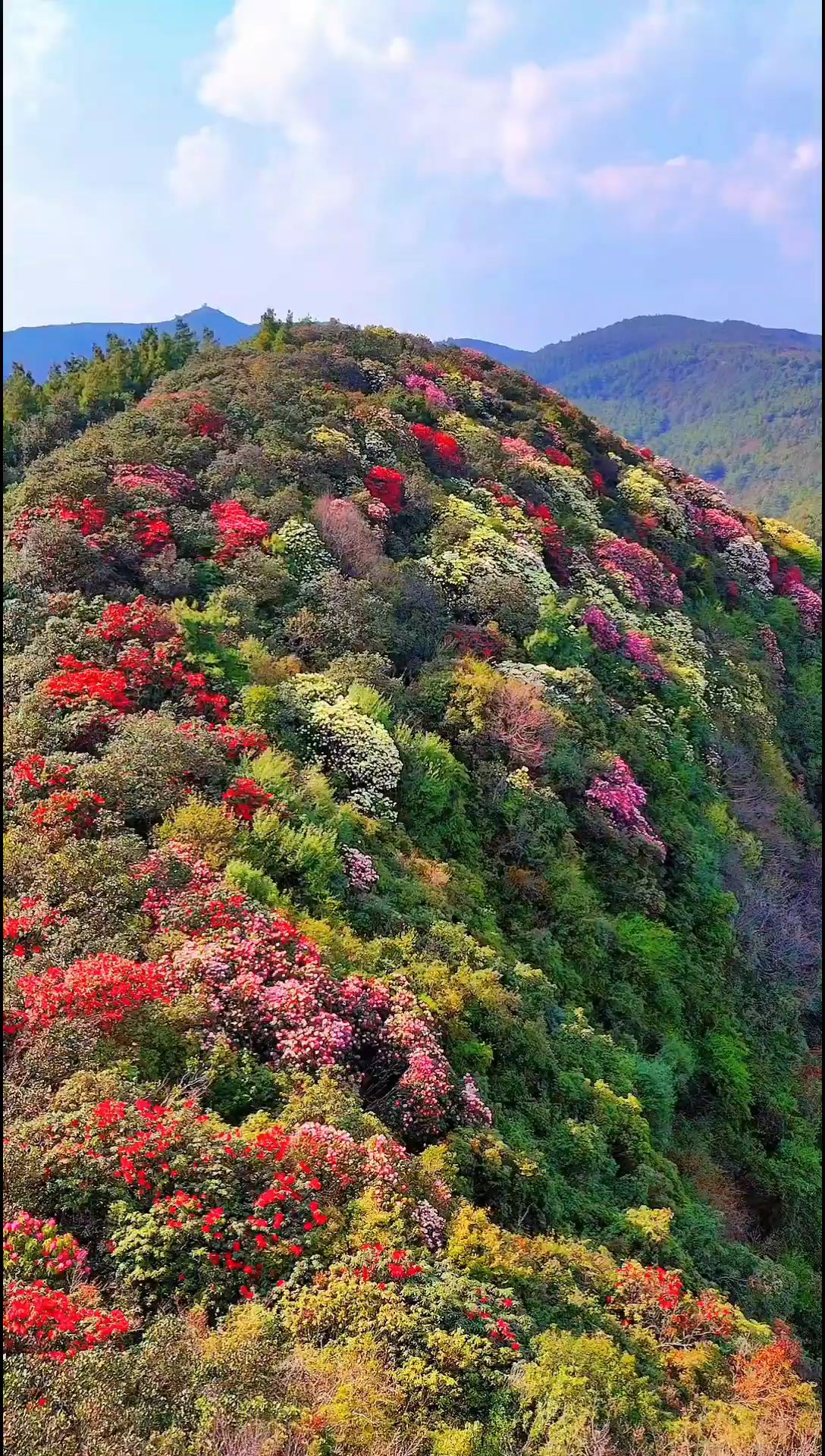 鲁木克村