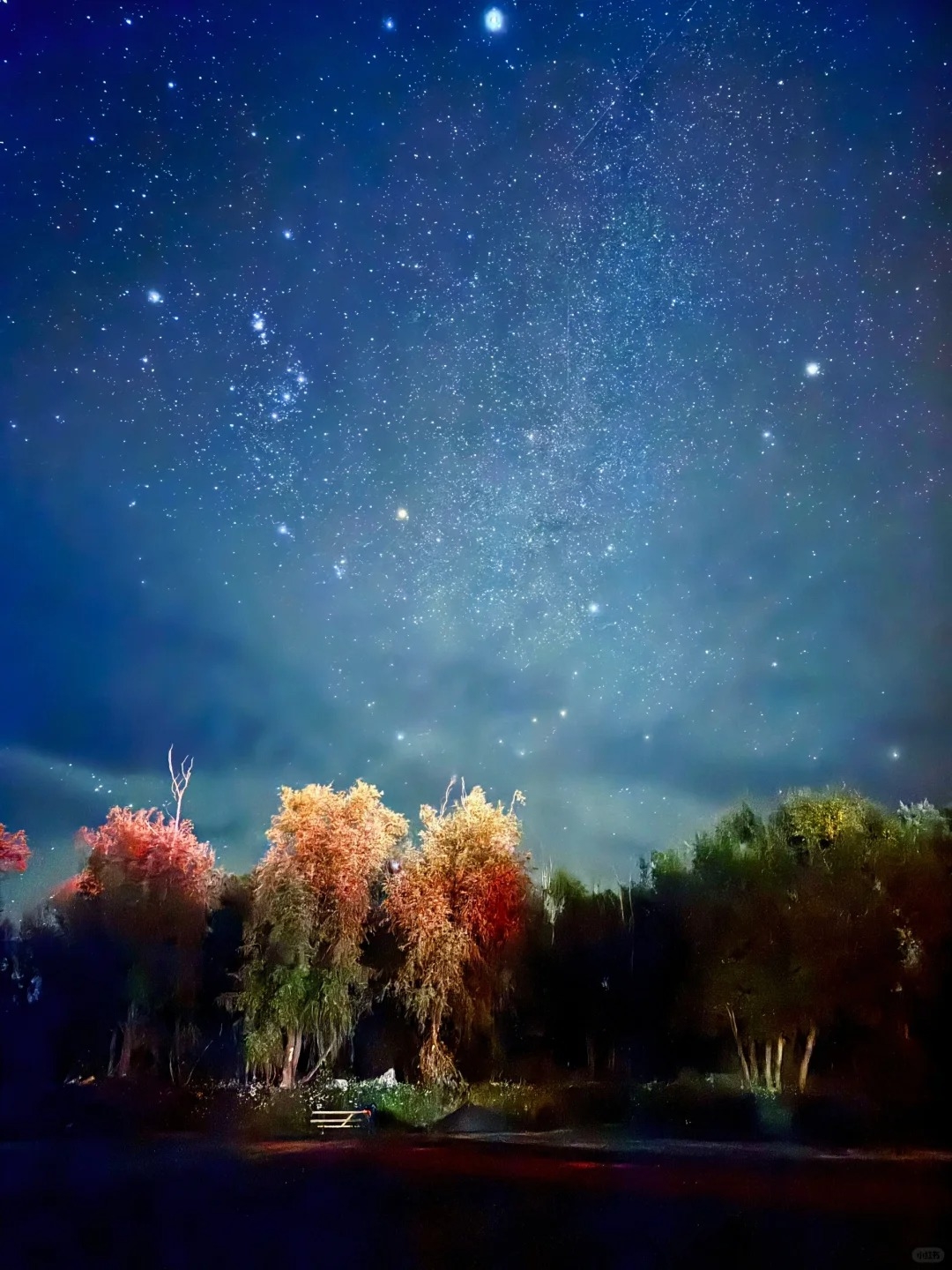 运气巨好！每次带新西兰团都能看星空