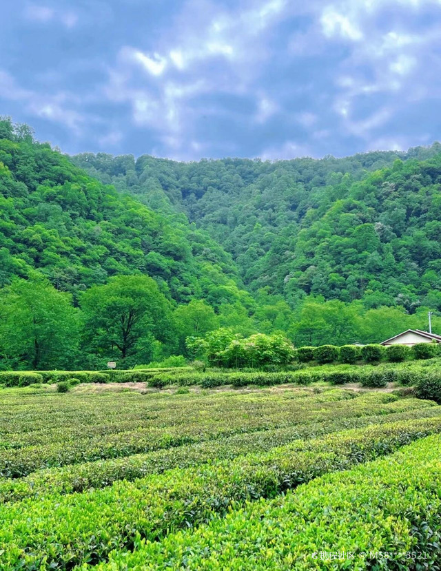 超强攻略_玩转康县阳坝自然风景区之行