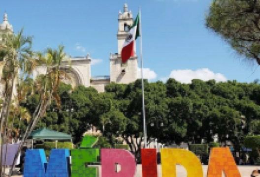 Apoala Mexican Cuisine美食图片