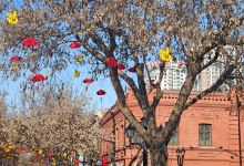 社会主义新农村(岳阳街店)美食图片