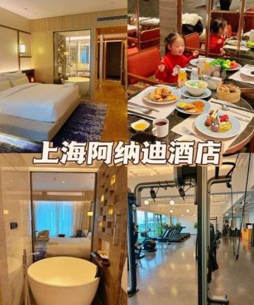 上海阿纳迪酒店图片