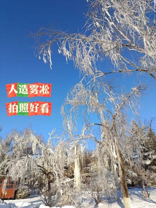 顺玉大片肉(劳动桥店)