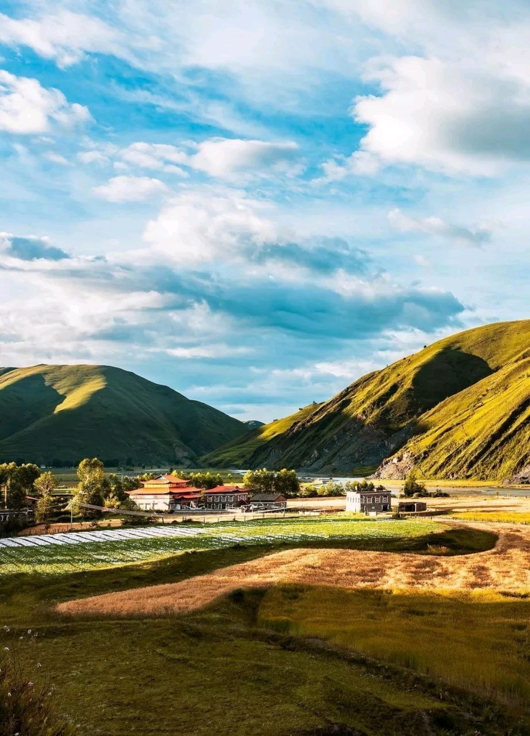 西藏风景