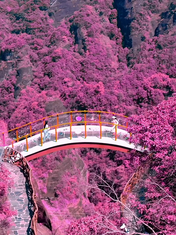 这是江西九江东浒寨，真是无限美景在险峰啊，这样的景色值得你来