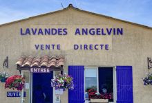 Lavande Angelvin购物图片