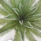 芹姐带你去旅游