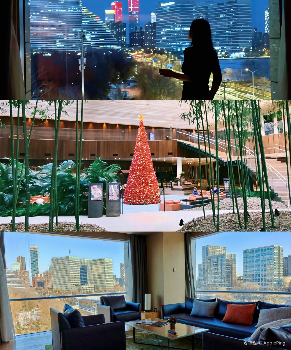 北京望京凯悦酒店图片