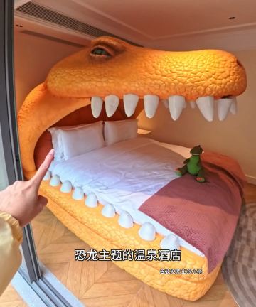 河源春沐源小镇·恐龙温泉酒店图片