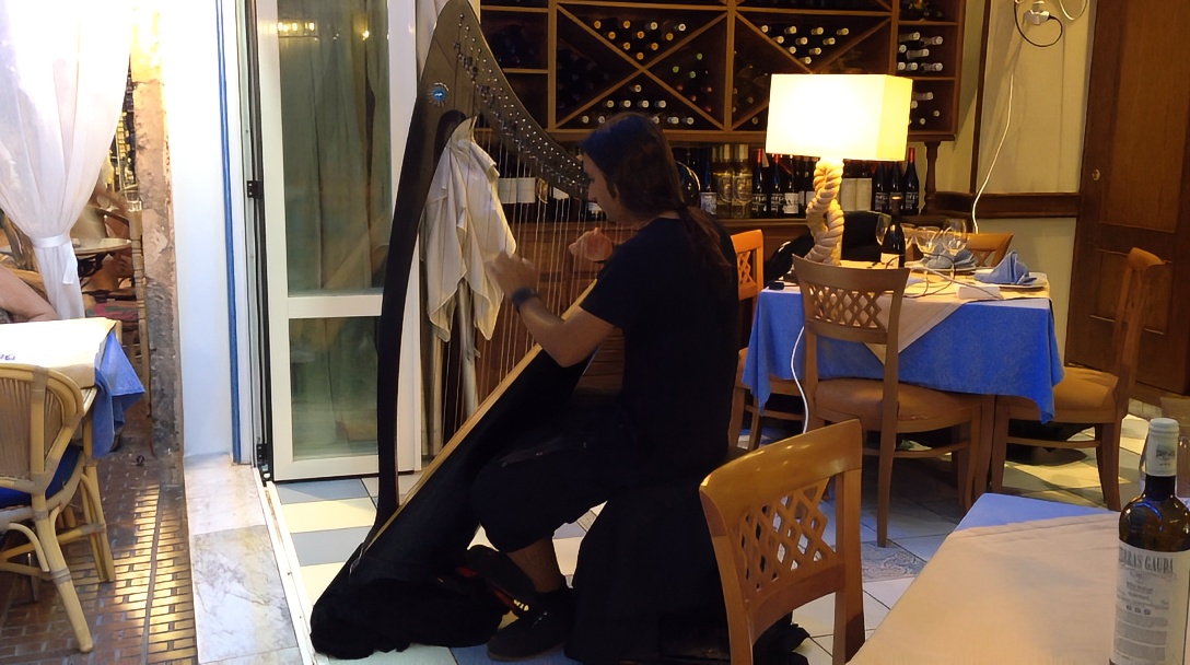 伊比萨餐厅里弹竖琴的型男