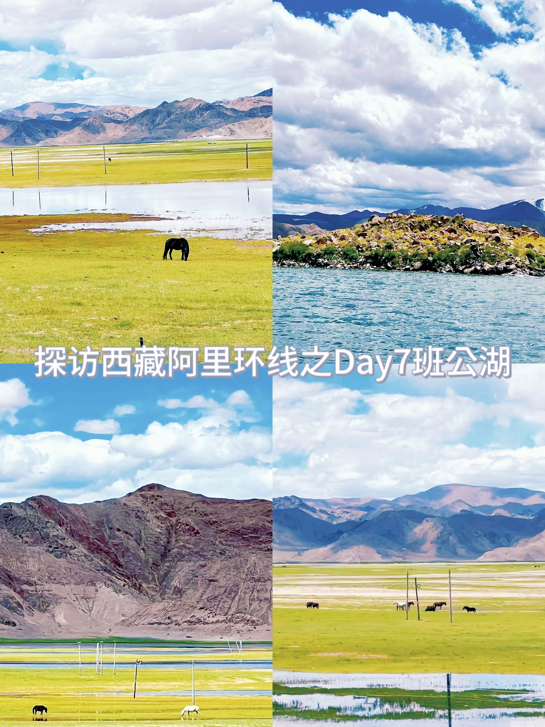 西藏阿里环线之Day7：探访神秘的班公湖