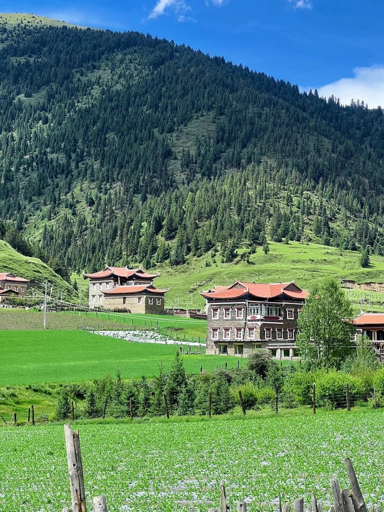 说起川西旅行，大家一定想着的是哪哪风景绝了