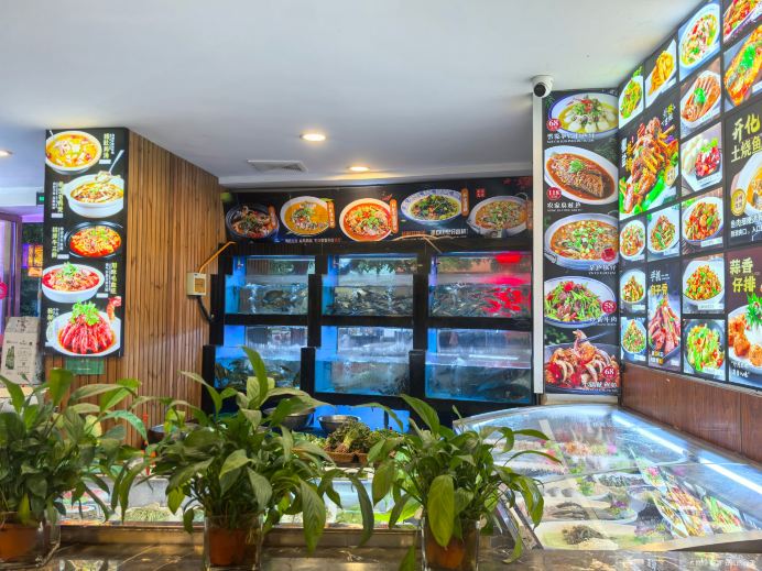 Gallery 4