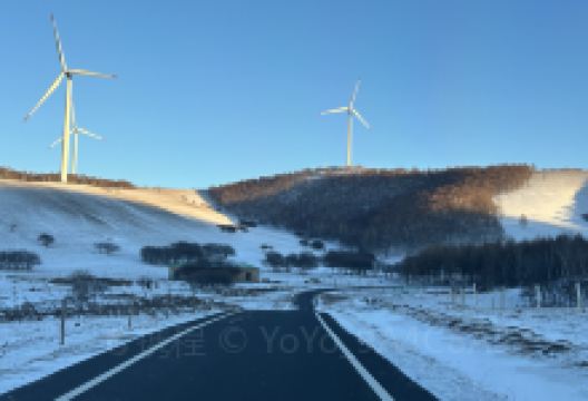 草原1号烤羊排·鑫兴美味家厨美食图片