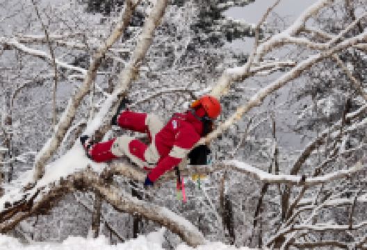 % Arabica阿拉比卡咖啡(北大湖滑雪度假区店)美食图片