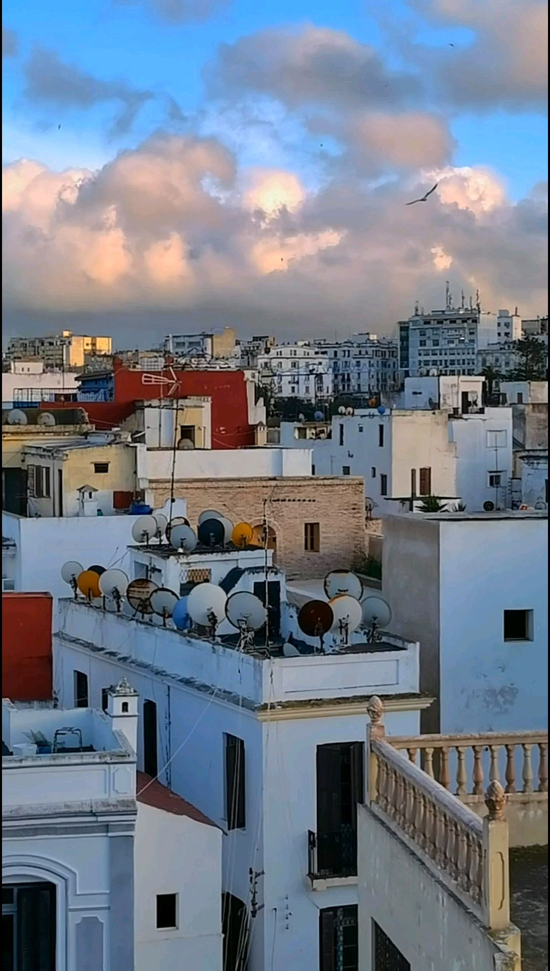 记录我的旅行足迹摩洛哥之旅走进丹吉尔  今天就要离开这个一头连着地中海一头连着大西洋的直布罗陀海峡边