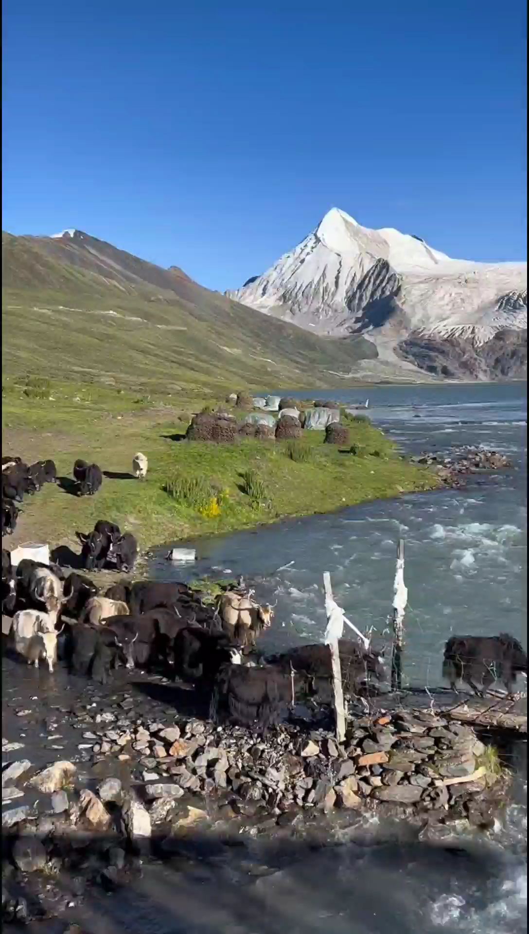 这里不是冰岛，也不是瑞士，这里是中国那曲 萨普冰川#西藏萨普冰川
