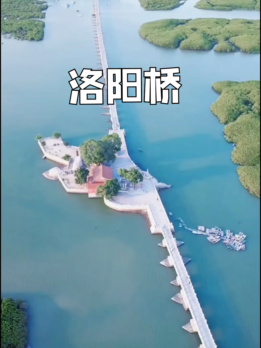 这座古桥竟是用牡蛎造的，而且桥屹立千年不倒，无数人感到不可思议！它就是中国古代四大名桥之一的的泉州洛