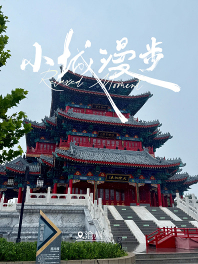 二强兴济羊肠子