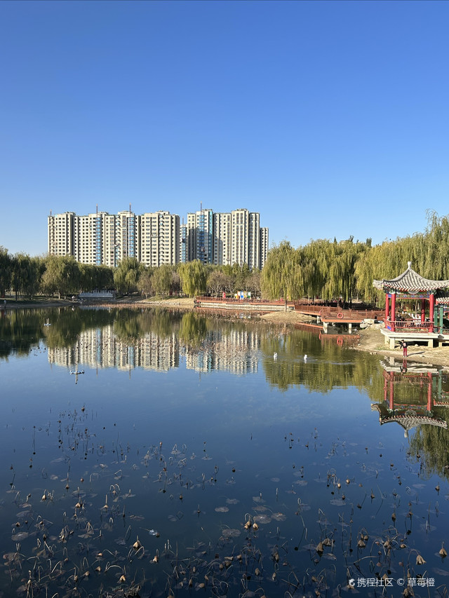 超强攻略_玩转北京旧宫城市森林公园之行