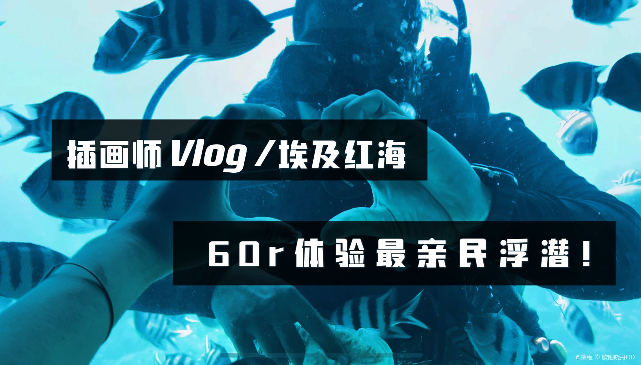 60r在埃及红海体验最亲民的浮潜！