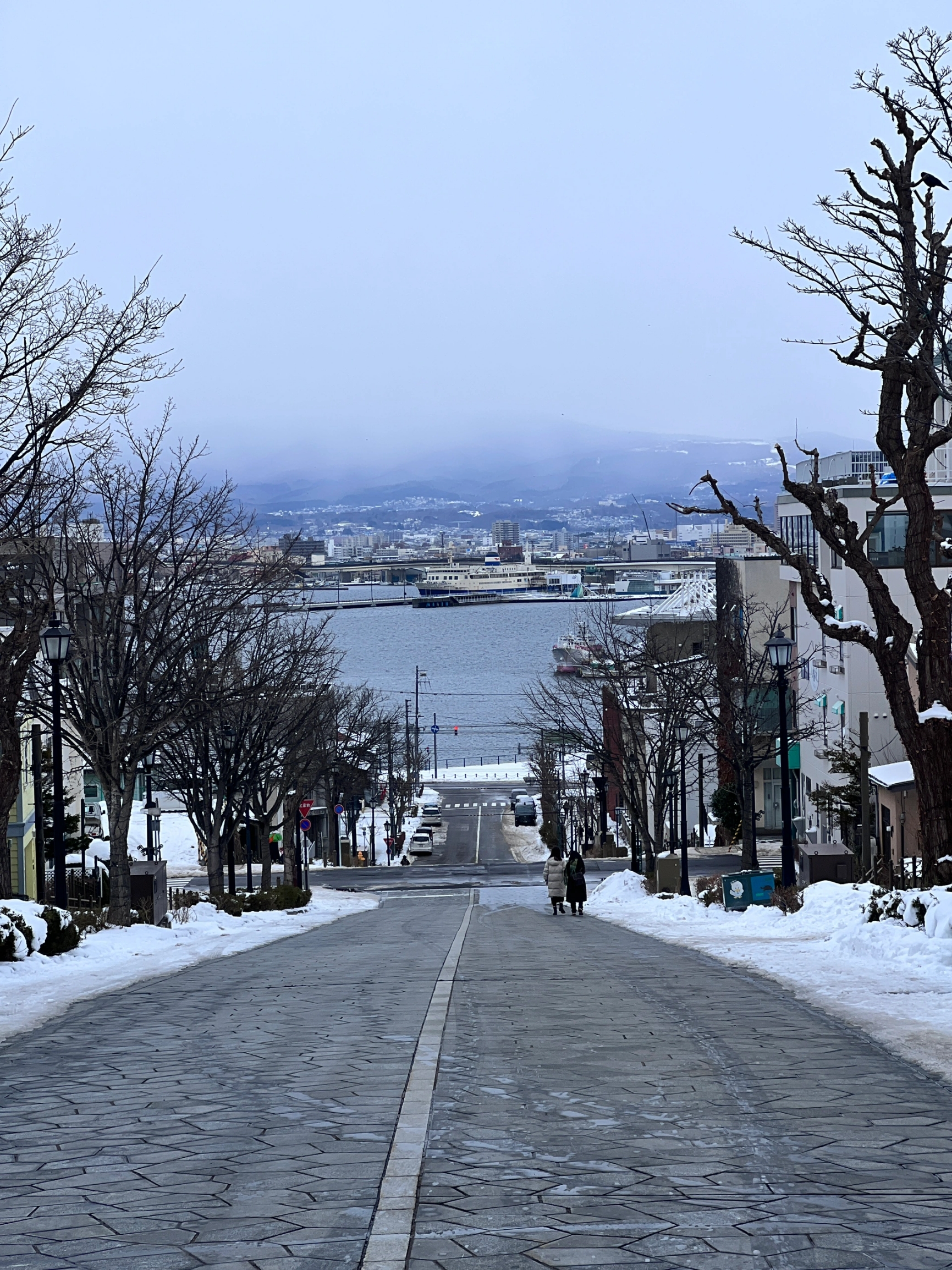 日本北海道真的太美了，真的很浪漫，很美！