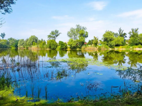 龙凤湿地是一个以自然风光为主题的景区