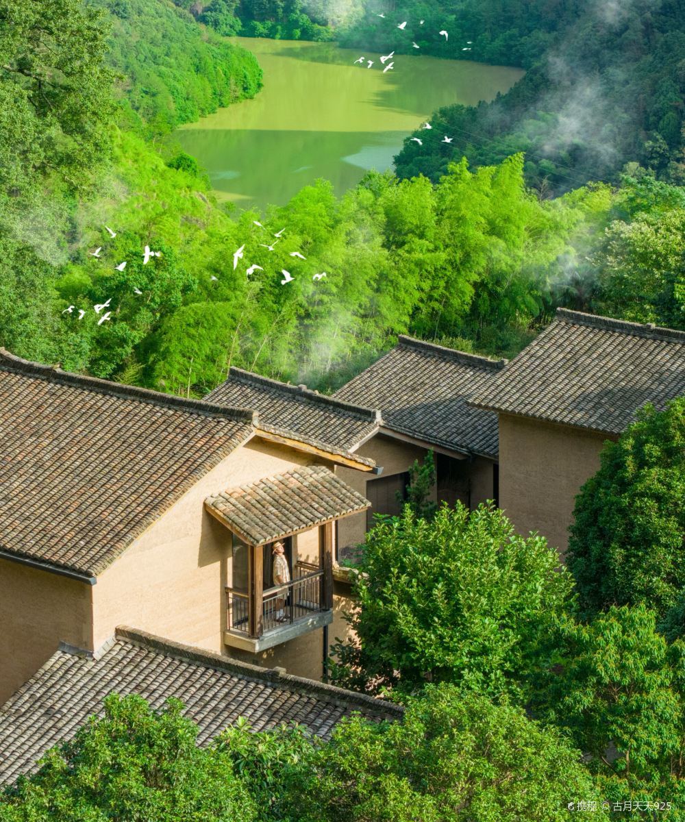 武义自在山谷民宿图片