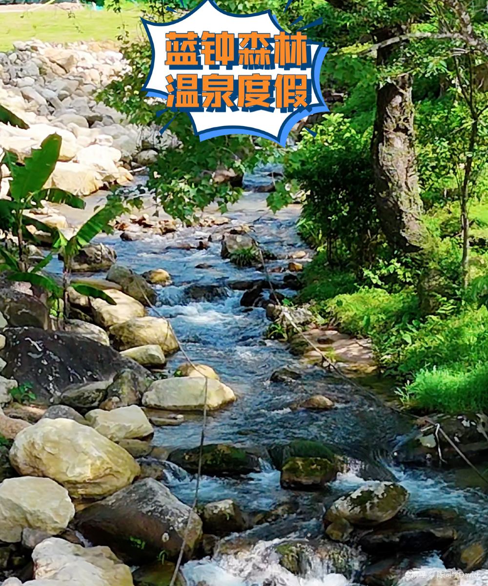 蓝钟森林温泉度假酒店图片