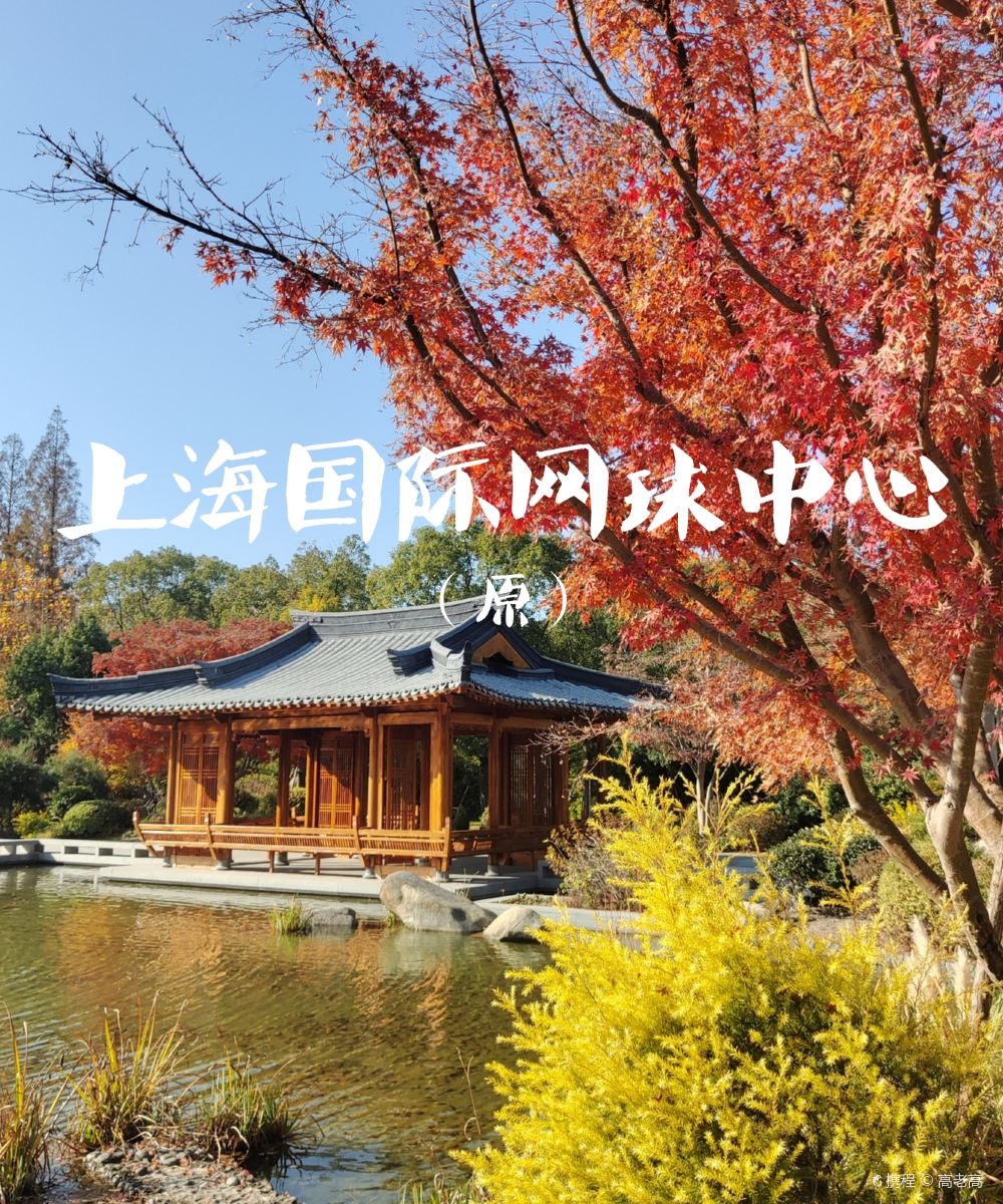 上海衡山花园酒店图片