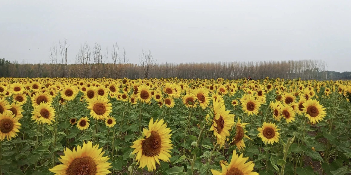 人民公社(神农北路店)餐厅图片