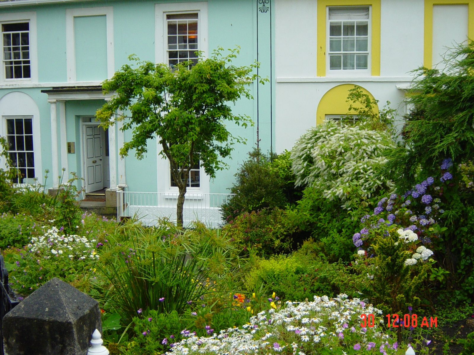 #海边民宿推荐 不错不错，康威的居民家庭庭院，装饰不错