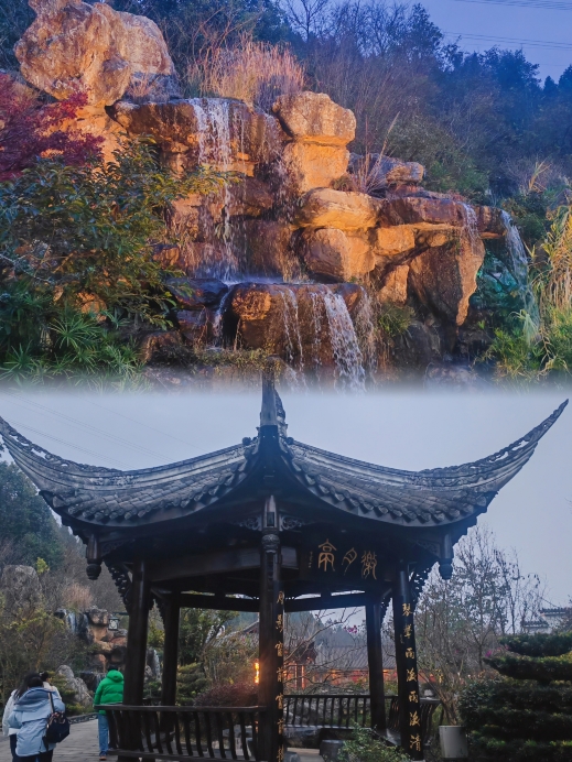 旌阳印象·森林餐厅