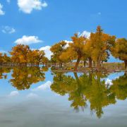 世界之眼,爱看纷纭!